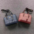 CAH BAG 6