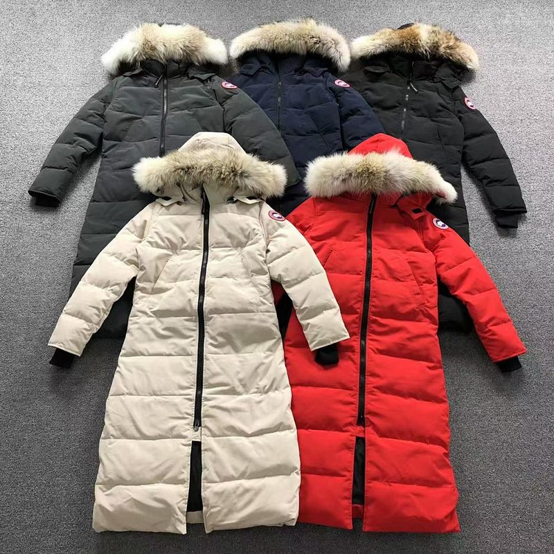 CNA GE DOWN JACKETS 59