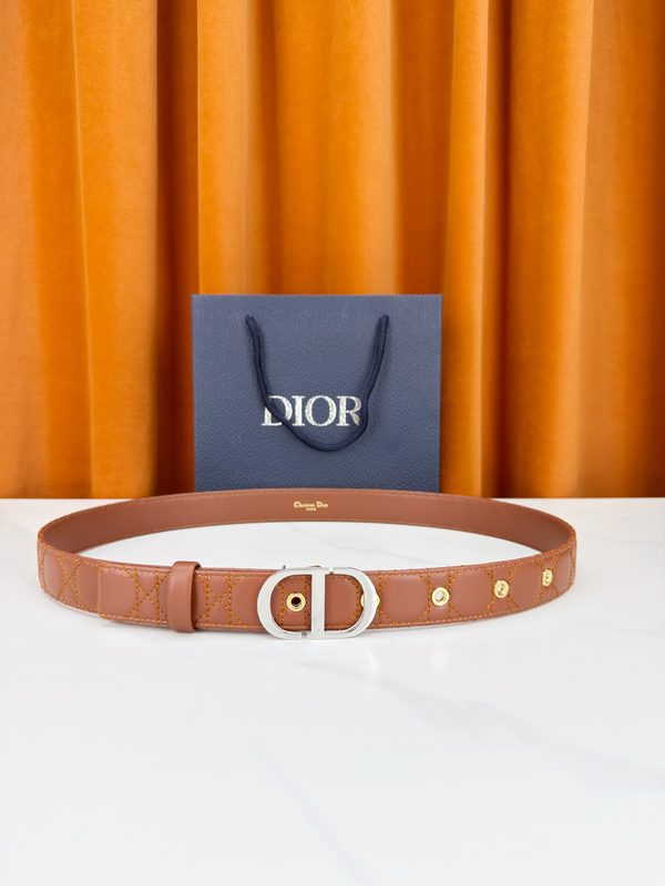 BELT #119