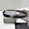 BELT #241