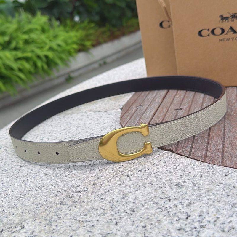 BELT #337