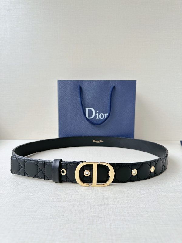 BELT #558