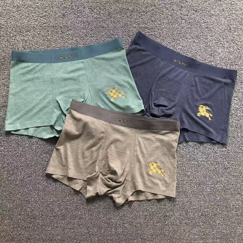 BRERY UNDERWEAR 613