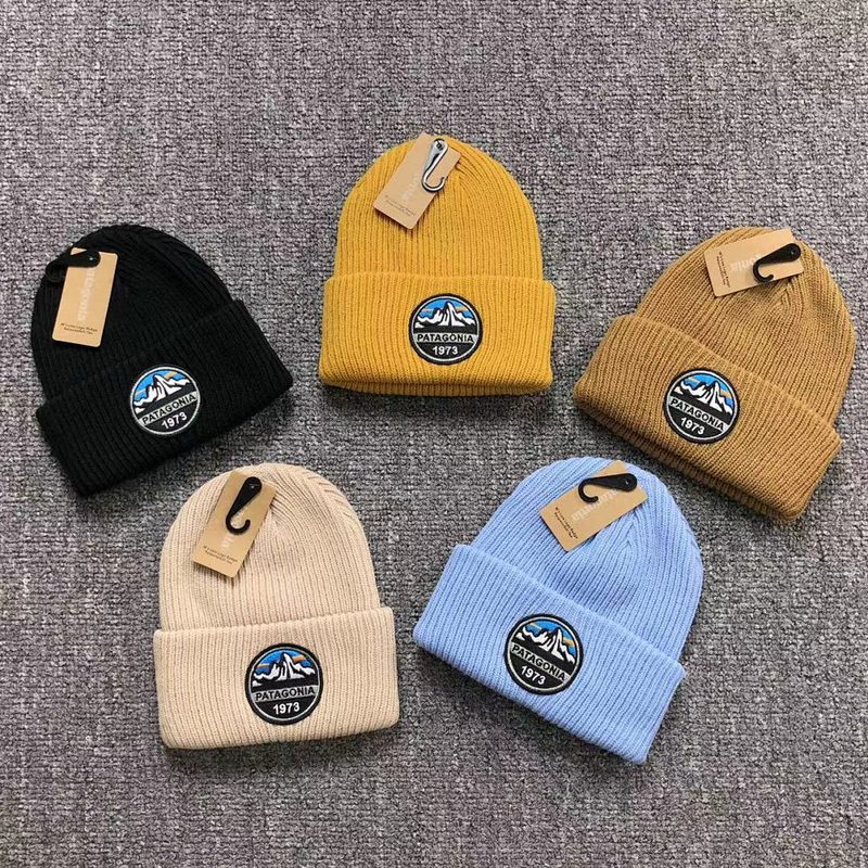 PATAGONIA HAT 740