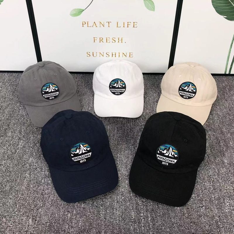 PATAGONIA HAT 778