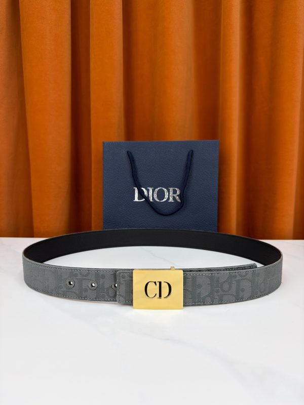 BELT #896