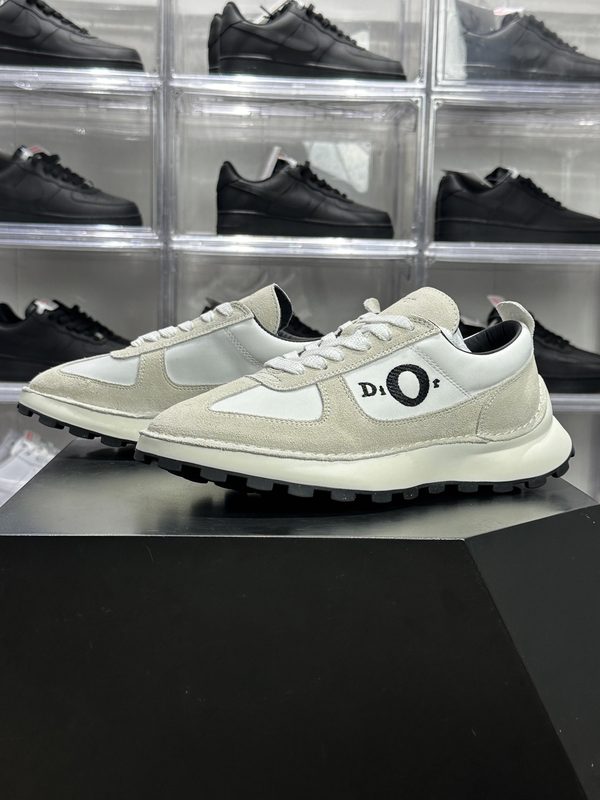 1:1 + Dior