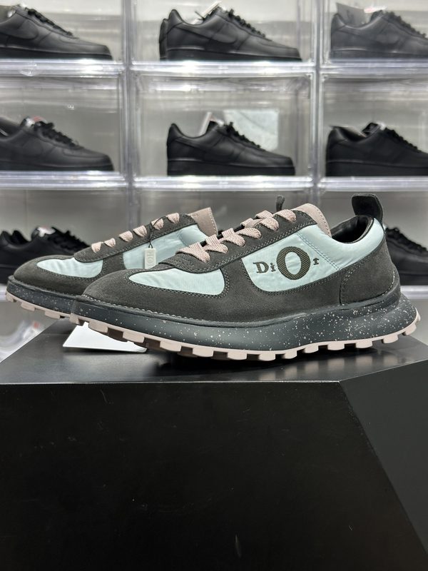 1:1 + Dior