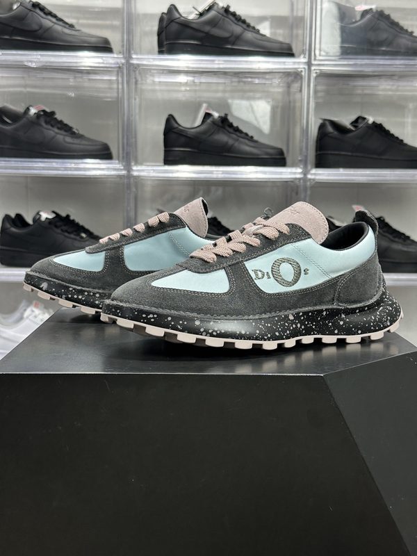 1:1 + Dior