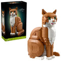 Orange Cat 21376
