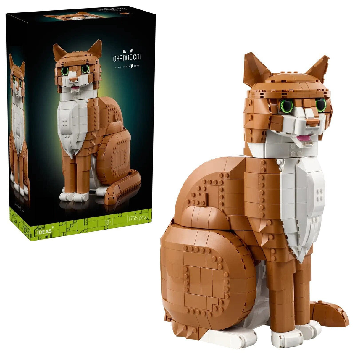 Orange Cat 21376