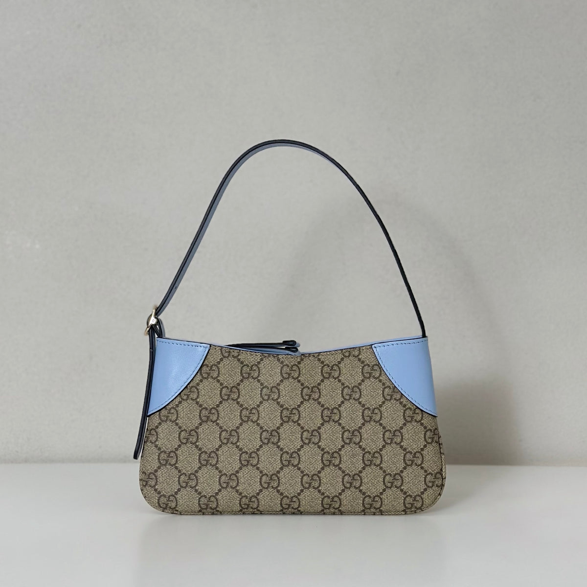 BAG #1036
