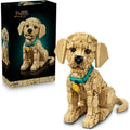 Golden Retriever Puppy 11384