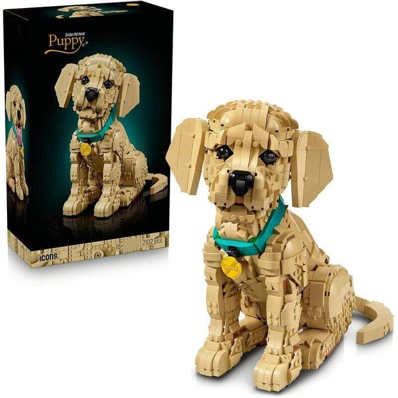 Golden Retriever Puppy 11384