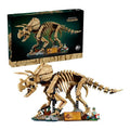 Triceratops Skeleton 77985