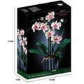 Orchid 10311