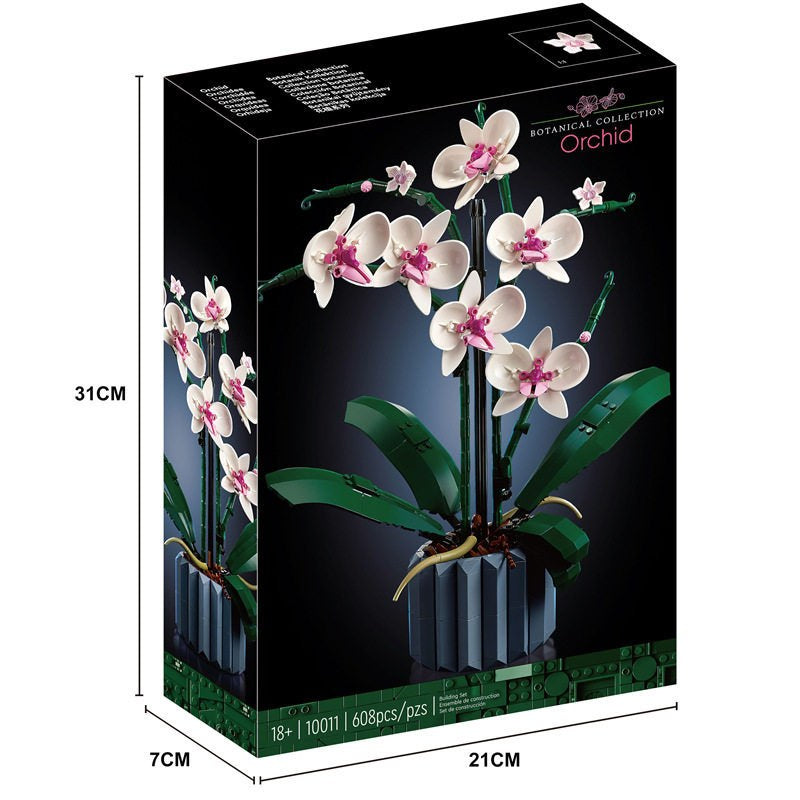 Orchid 10311