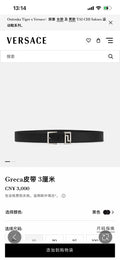 BELT #1243