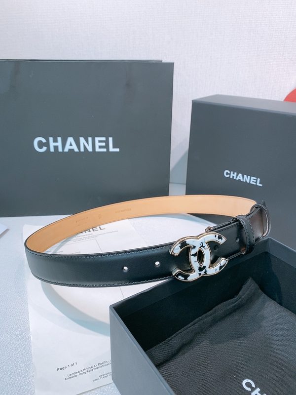 BELT #1251