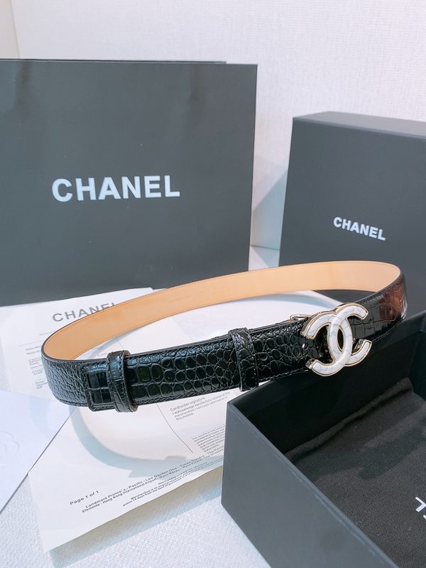 BELT #1255