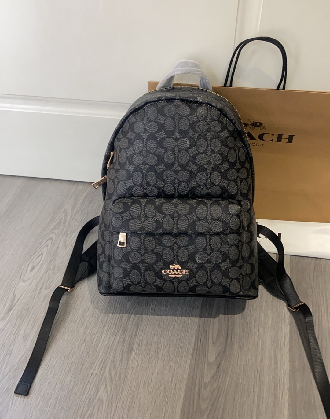 BAG #3094