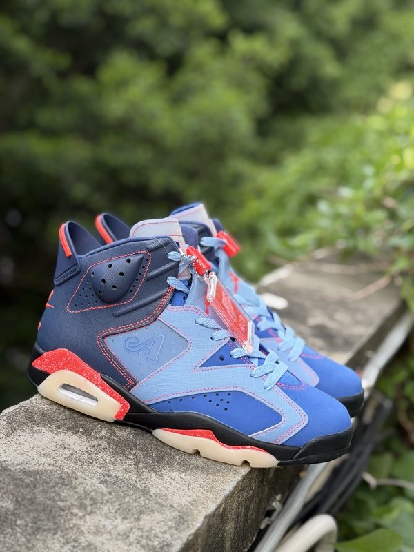 Air Jordan 6/AJ6