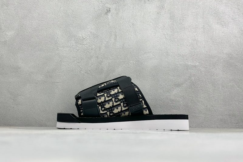 Dior Alpha Obique Dior Oblique