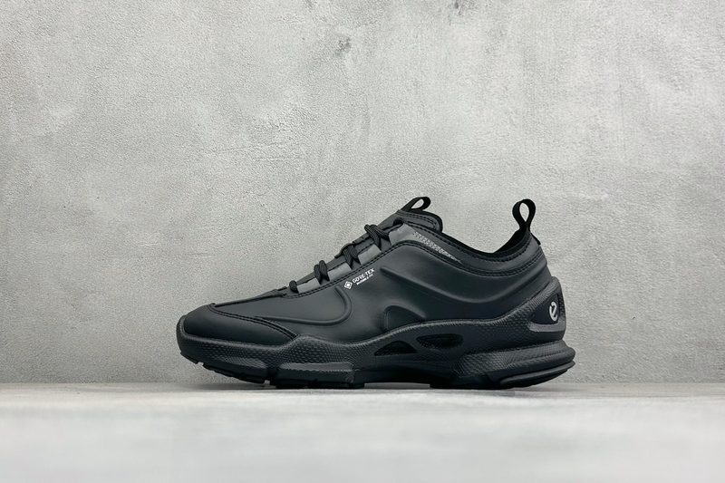 Ecco Biom C-Trail C