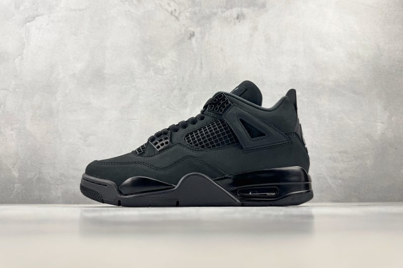 Jordan Air Jordan 4