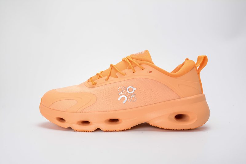 LOEWE x ON Cloudsolo