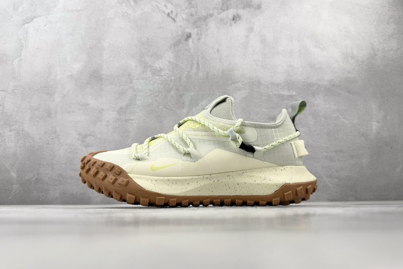 Nike ACG Mountain Fly LOW GTX SE