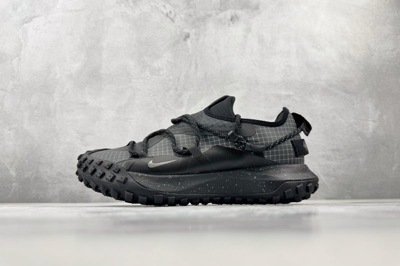 Nike ACG Mountain Fly LOW GTX SE