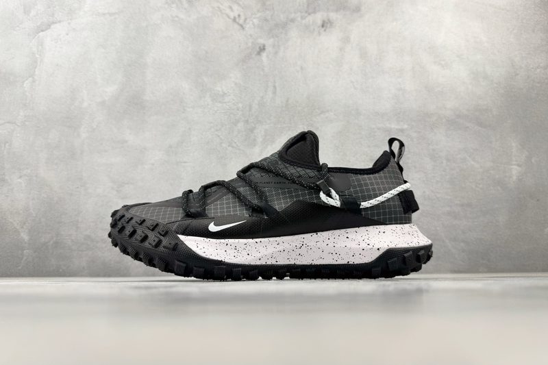 Nike ACG Mountain Fly LOW GTX SE