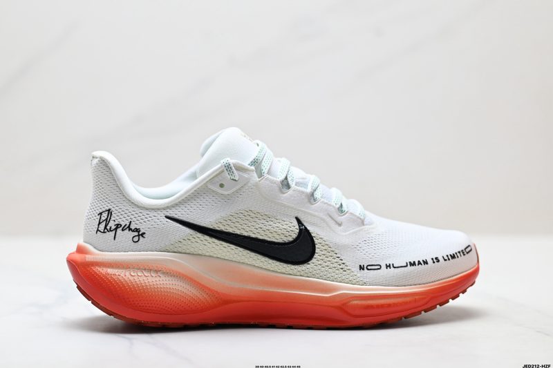 Nike Air Zoom Pegasus 41