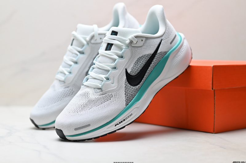 Nike Air Zoom Pegasus 41