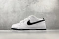 Nike Dunk SB LOW PRO White Suede/Black