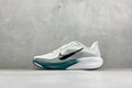 NK Air Zoom Pegasus 42