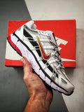 P-6000 Pegasus 25 Pegasus 2006