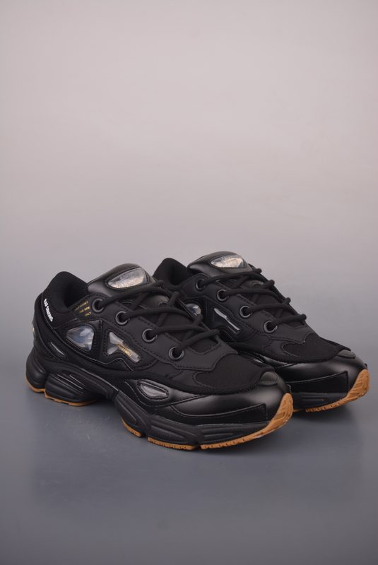 RAF SIMONS OZWEEGO 2