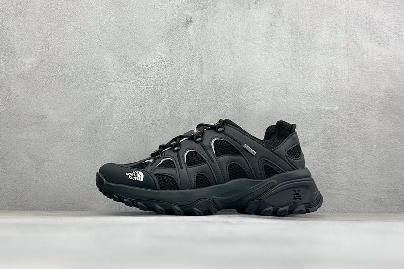 THE NORTH FACE HEDGEHOG 06 RVST GORE-TEX